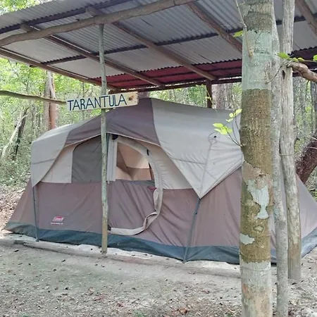 Campamento Yaax Che En Calakmul Conhuas Zimmer foto