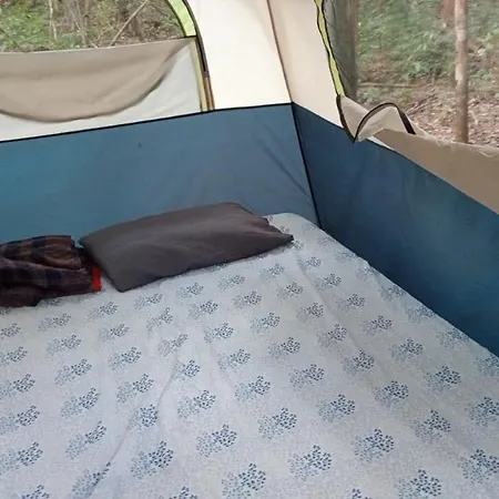 Campamento Yaax Che En Calakmul Conhuas Zimmer foto
