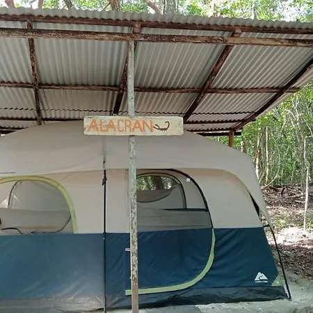Campamento Yaax Che En Calakmul Conhuas Zimmer foto
