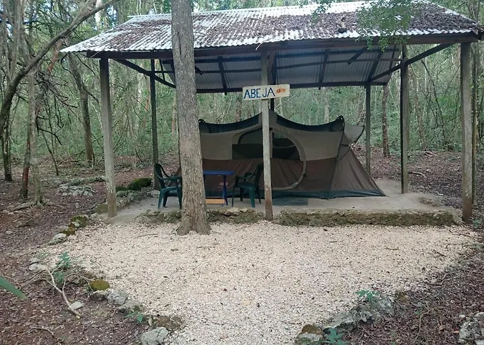 Campamento Yaax Che En Calakmul