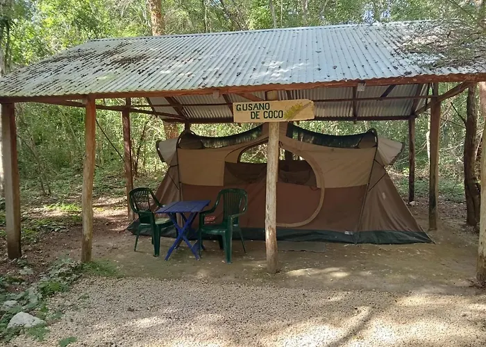 Campamento Yaax Che En Calakmul