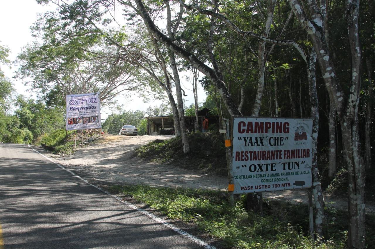 Yaax Che En Calakmul