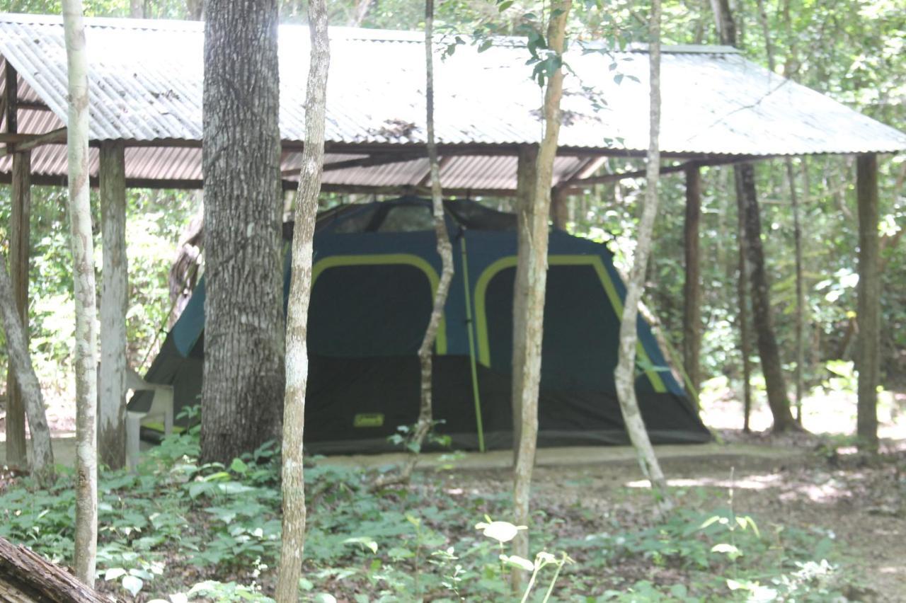 Yaax Che En Calakmul Campingplatz *