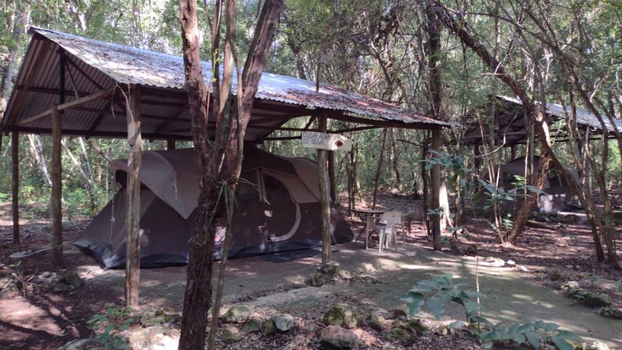 Yaax Che En Calakmul Campingplatz