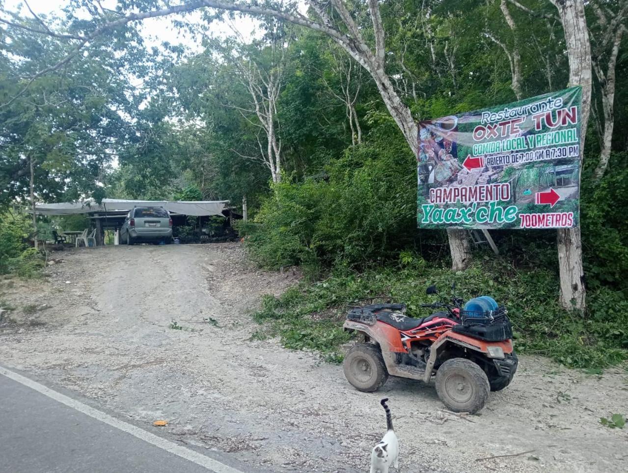 Yaax Che En Calakmul Campingplatz Conhuas