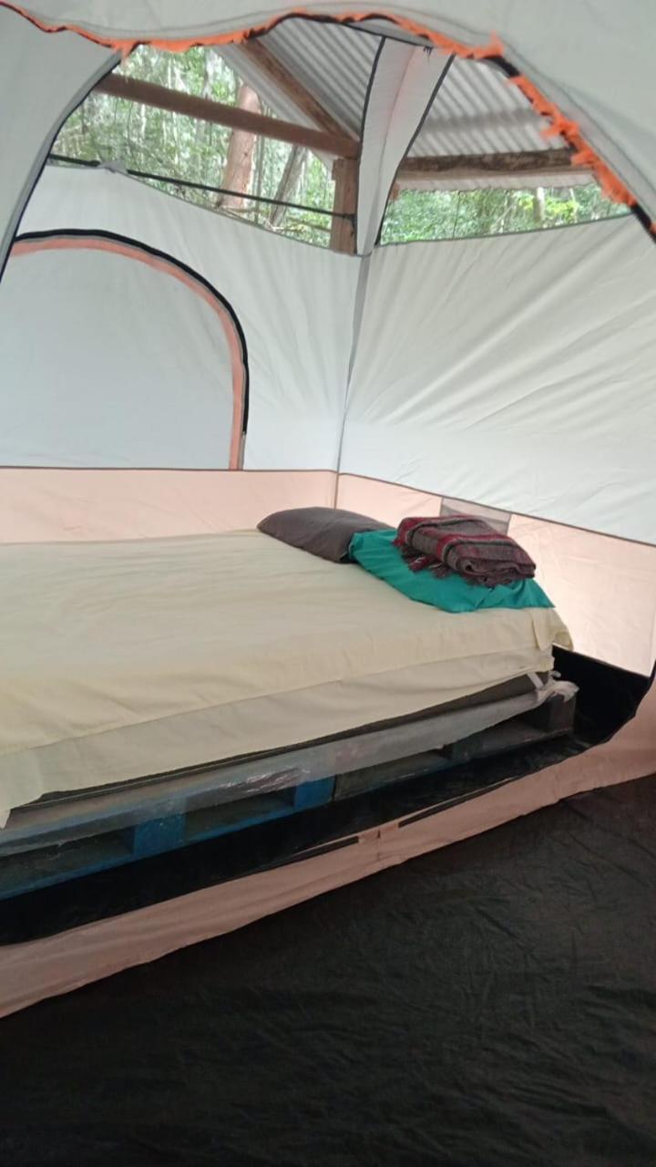 Campingplatz Yaax Che En Calakmul