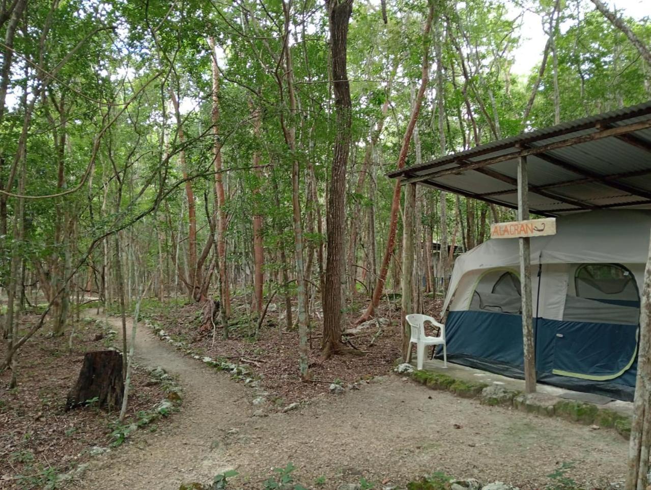 Yaax Che En Calakmul Campingplatz *