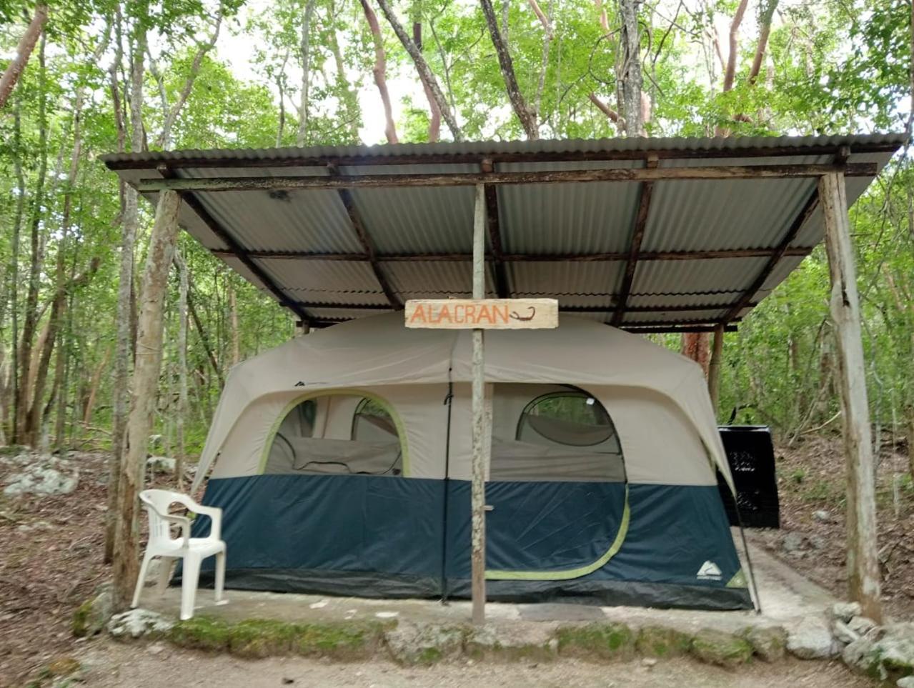 Campingplatz Yaax Che En Calakmul Conhuas