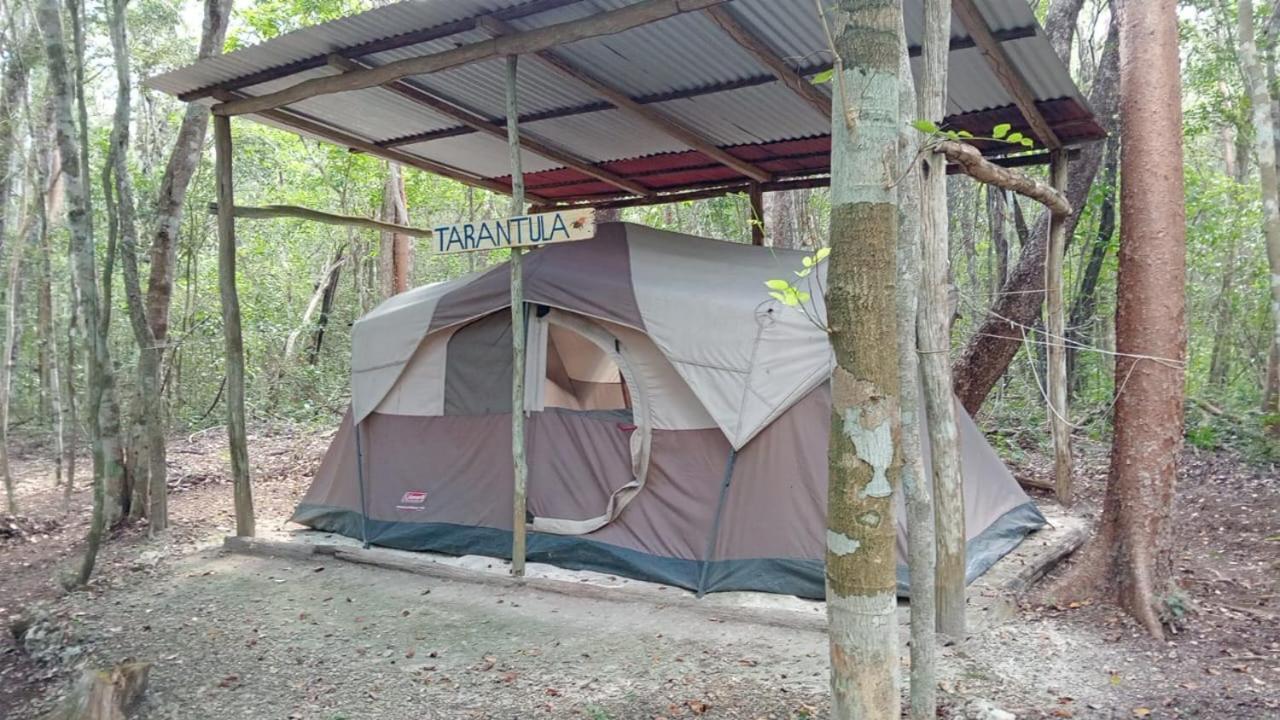 Yaax Che En Calakmul Campingplatz *