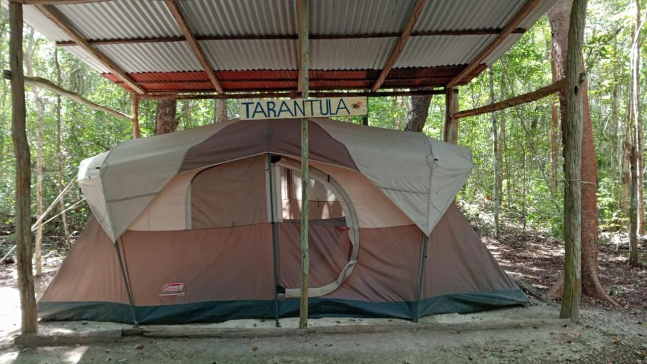 Campingplatz Yaax Che En Calakmul *