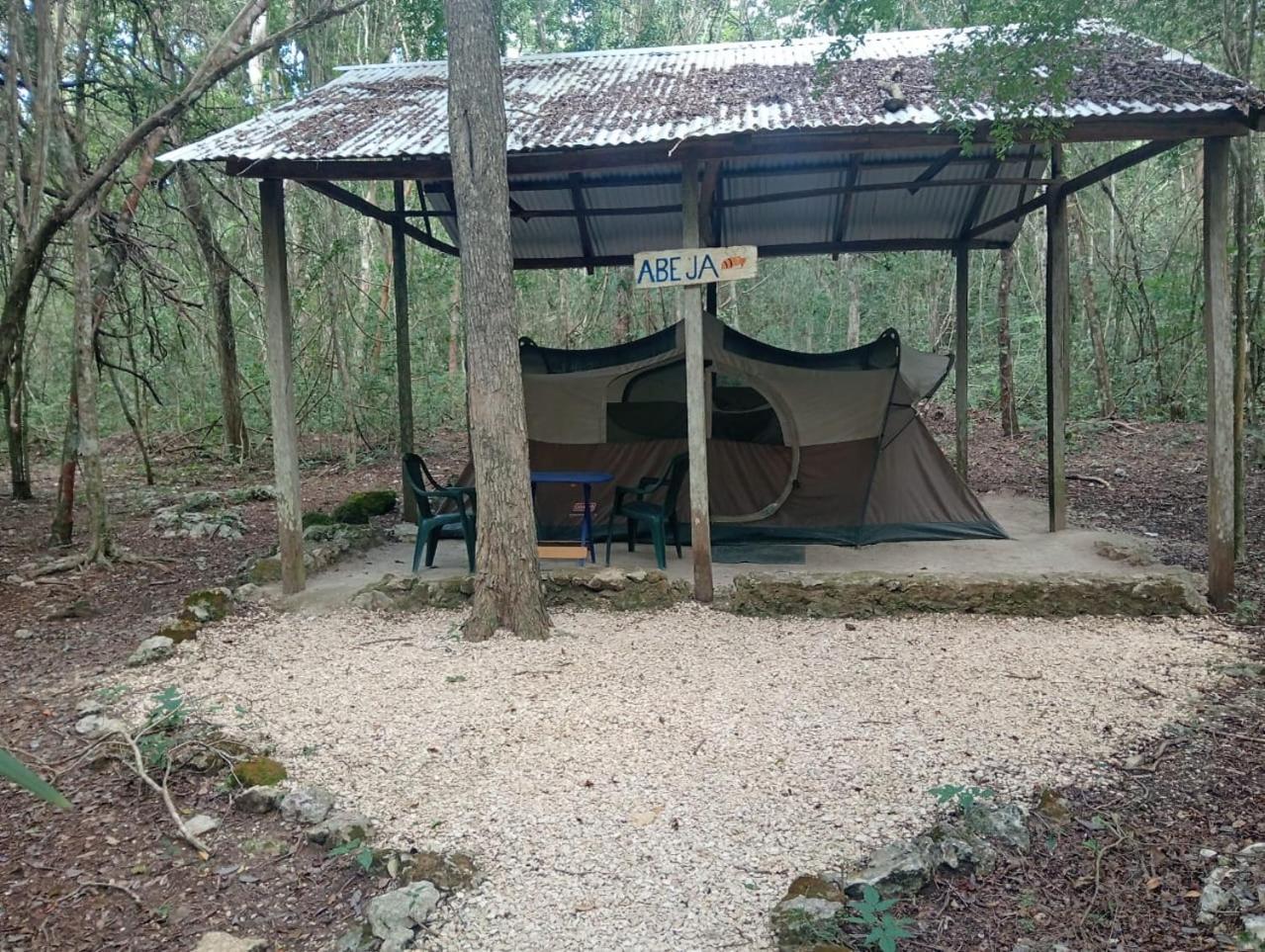 Yaax Che En Calakmul Campingplatz *