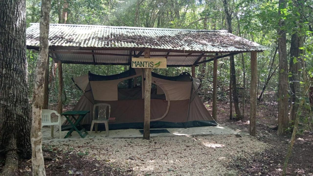 Campingplatz Yaax Che En Calakmul *