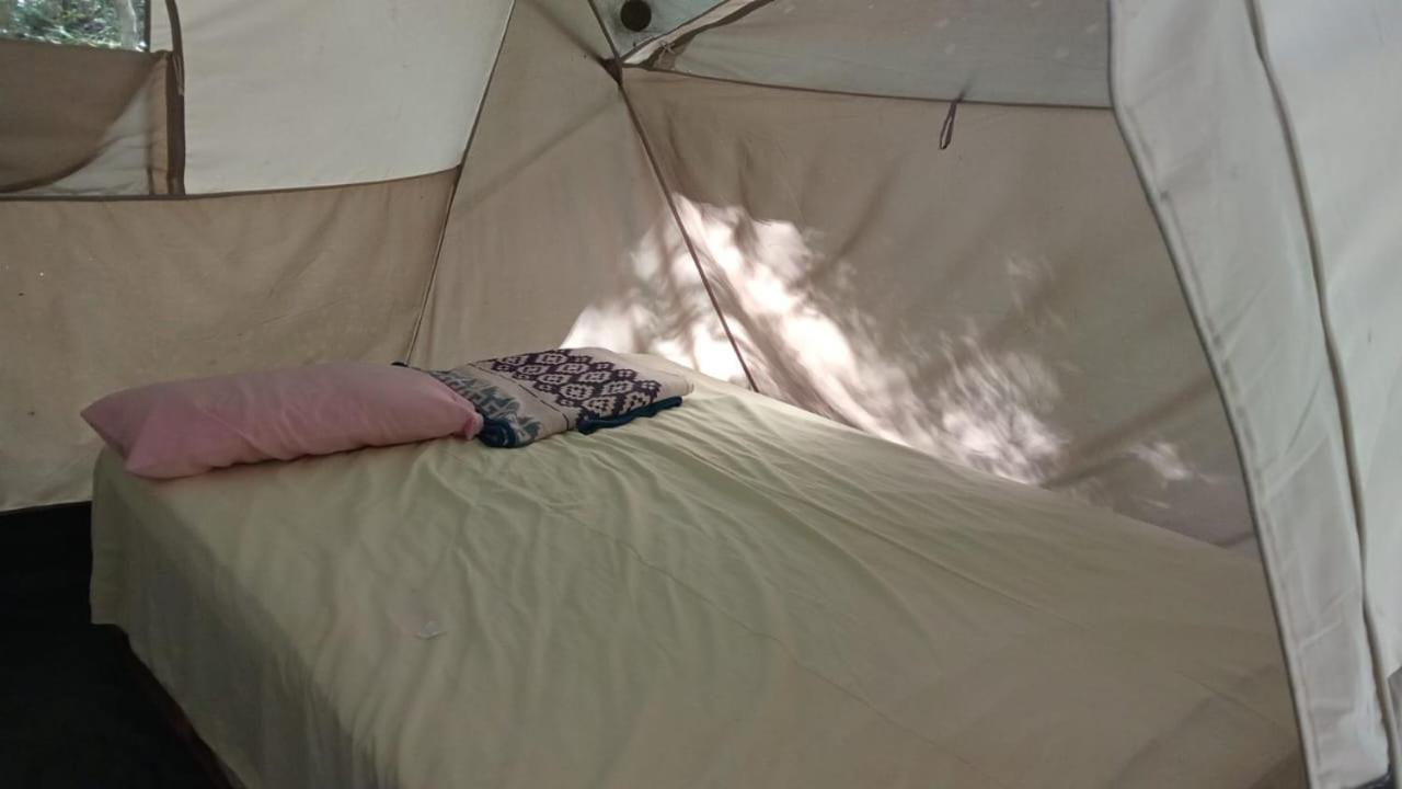 Campingplatz Yaax Che En Calakmul Conhuas
