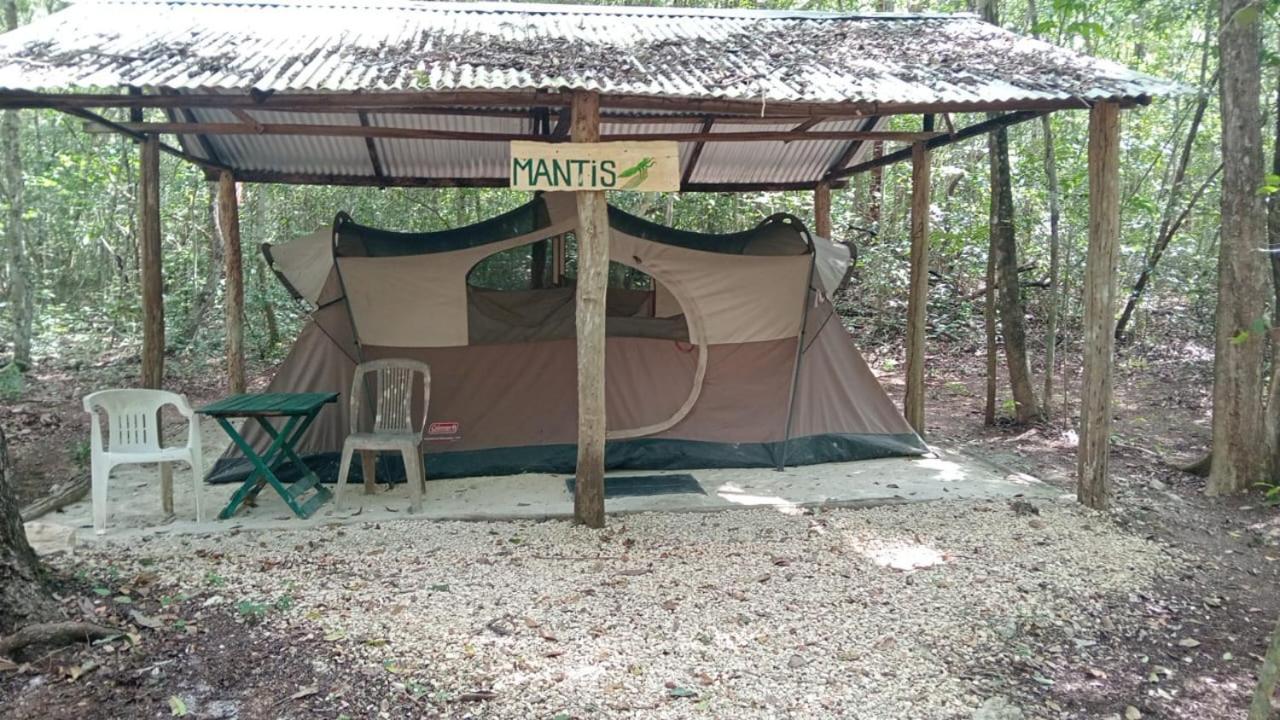 Yaax Che En Calakmul