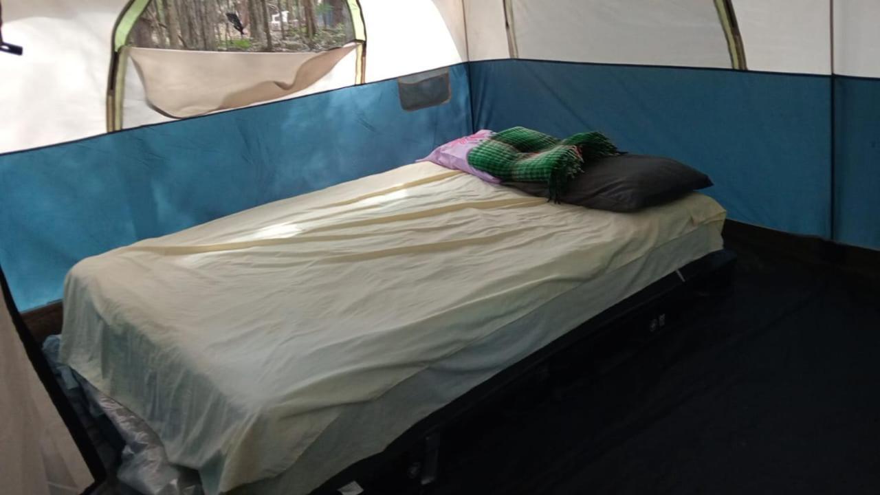 Yaax Che En Calakmul Campingplatz