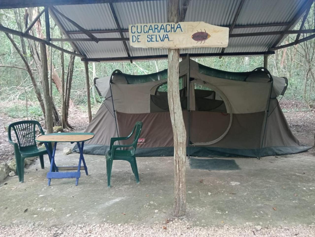 Campingplatz Yaax Che En Calakmul *