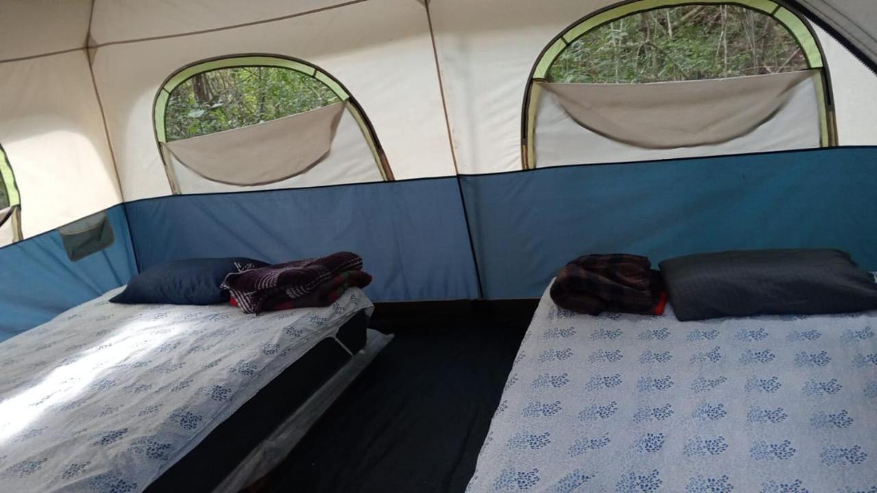 Yaax Che En Calakmul Campingplatz
