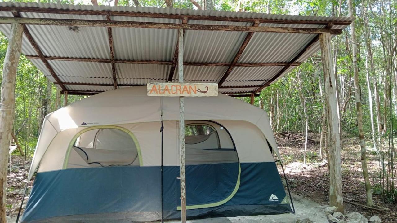 Yaax Che En Calakmul Campingplatz *
