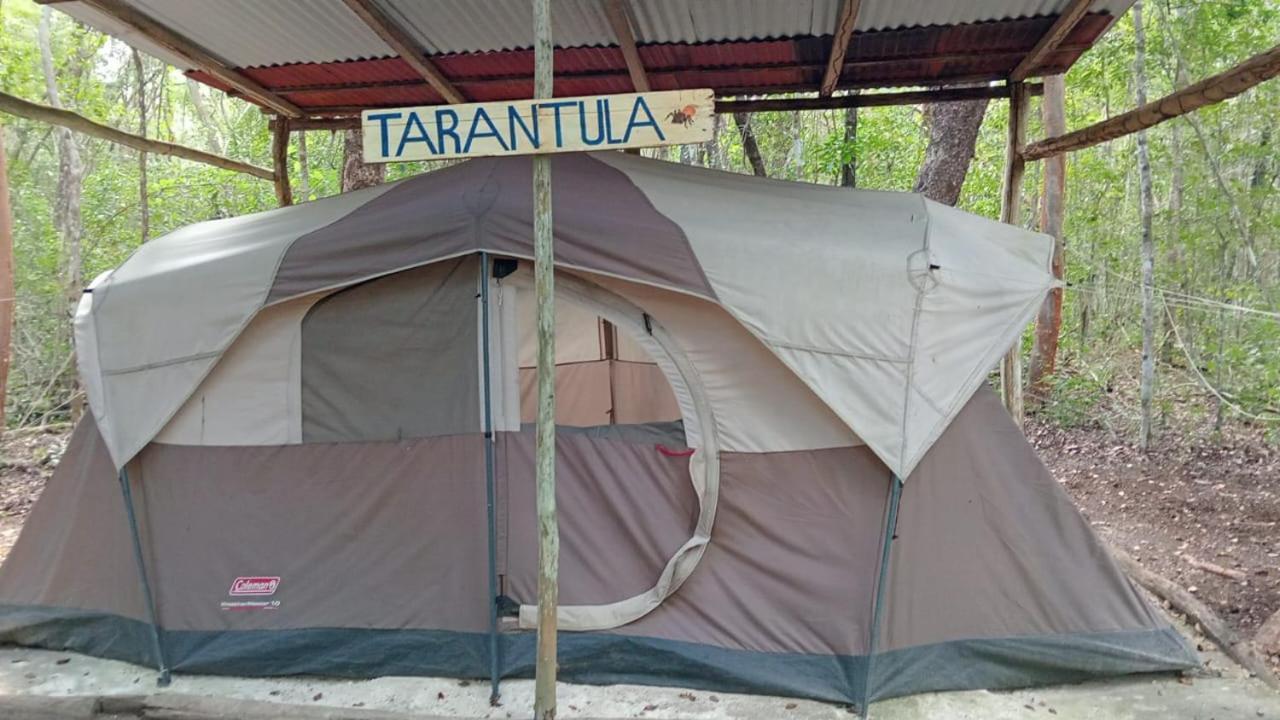 Yaax Che En Calakmul Campingplatz