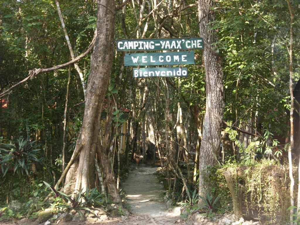 Yaax Che En Calakmul Campingplatz
