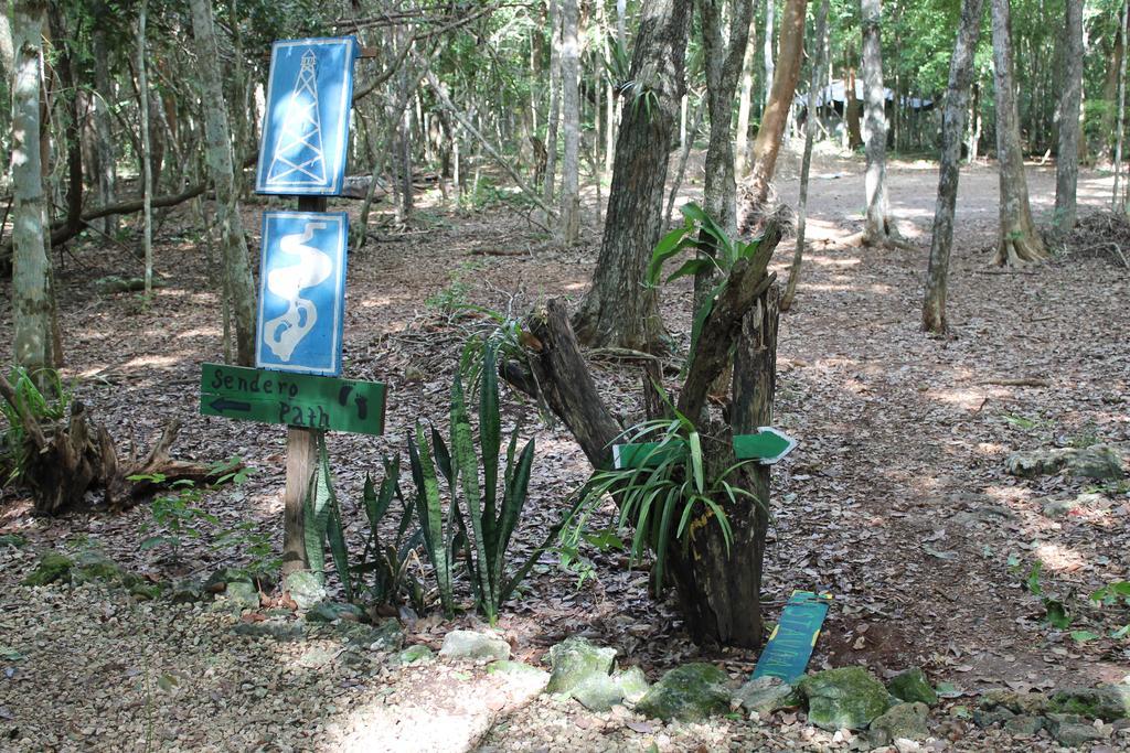 Campingplatz Yaax Che En Calakmul Conhuas