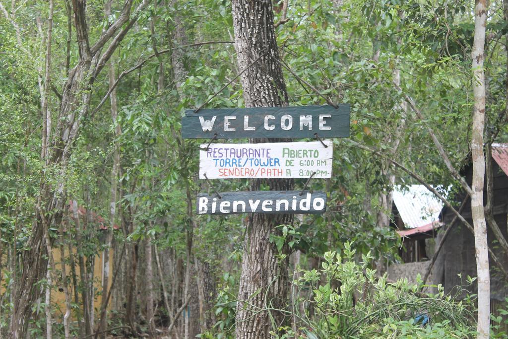 Yaax Che En Calakmul * Conhuas