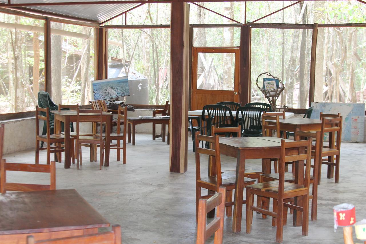 Campingplatz Yaax Che En Calakmul